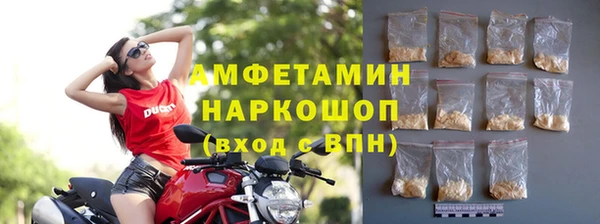 сатива Тавда